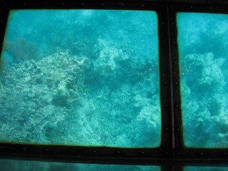 s-IMG_1099.jpg