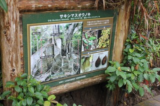 s-IMG_1182.jpg