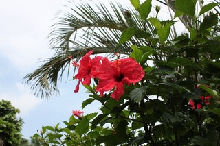 s-IMG_1227.jpg
