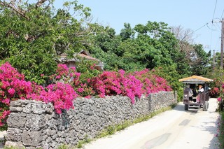 s-IMG_1304.jpg